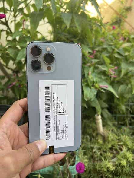 السلام عليكم ورحمة وبركاته 
يتوفر آيفونات 13برو ماكس 

الذاكرة 256%

البطاريات94(93)

النضافه 90%
ألوان بحري جميعا

عل ضمان أنطي يوم كامل تفحص

العنوان شهربان حي العسكري 

مراسله اوًاتصل ع رقم***********
