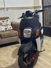 بوليسي • نضيفه • بصرة