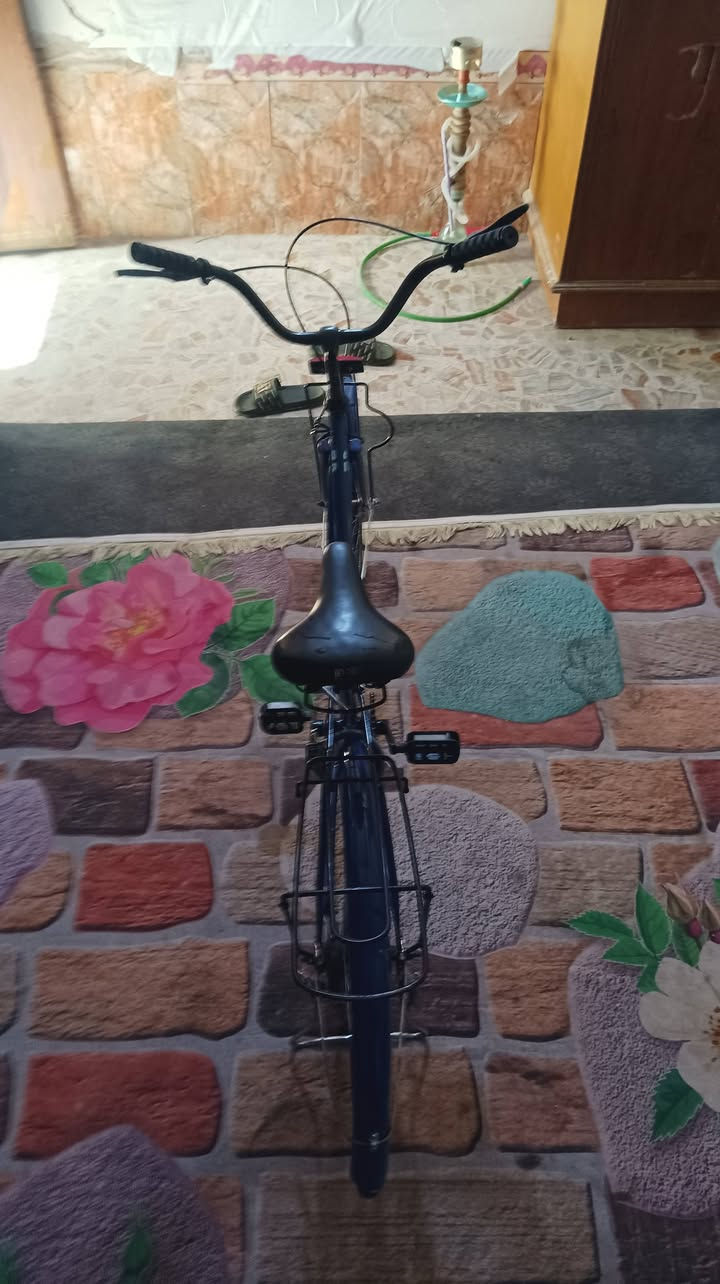 باسكل شركة بيدي لون نيلي للبيع في النجف حي العسكري 90 وبي مجال


**إذا كنت صاحب هذا الإعلان وتريد حذفه لأي سبب، رجاءا أرسل رسالة إلى الدعم الفني**