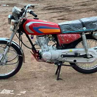 نامي • بدون أوراق • تعمير ٢٠٢٦