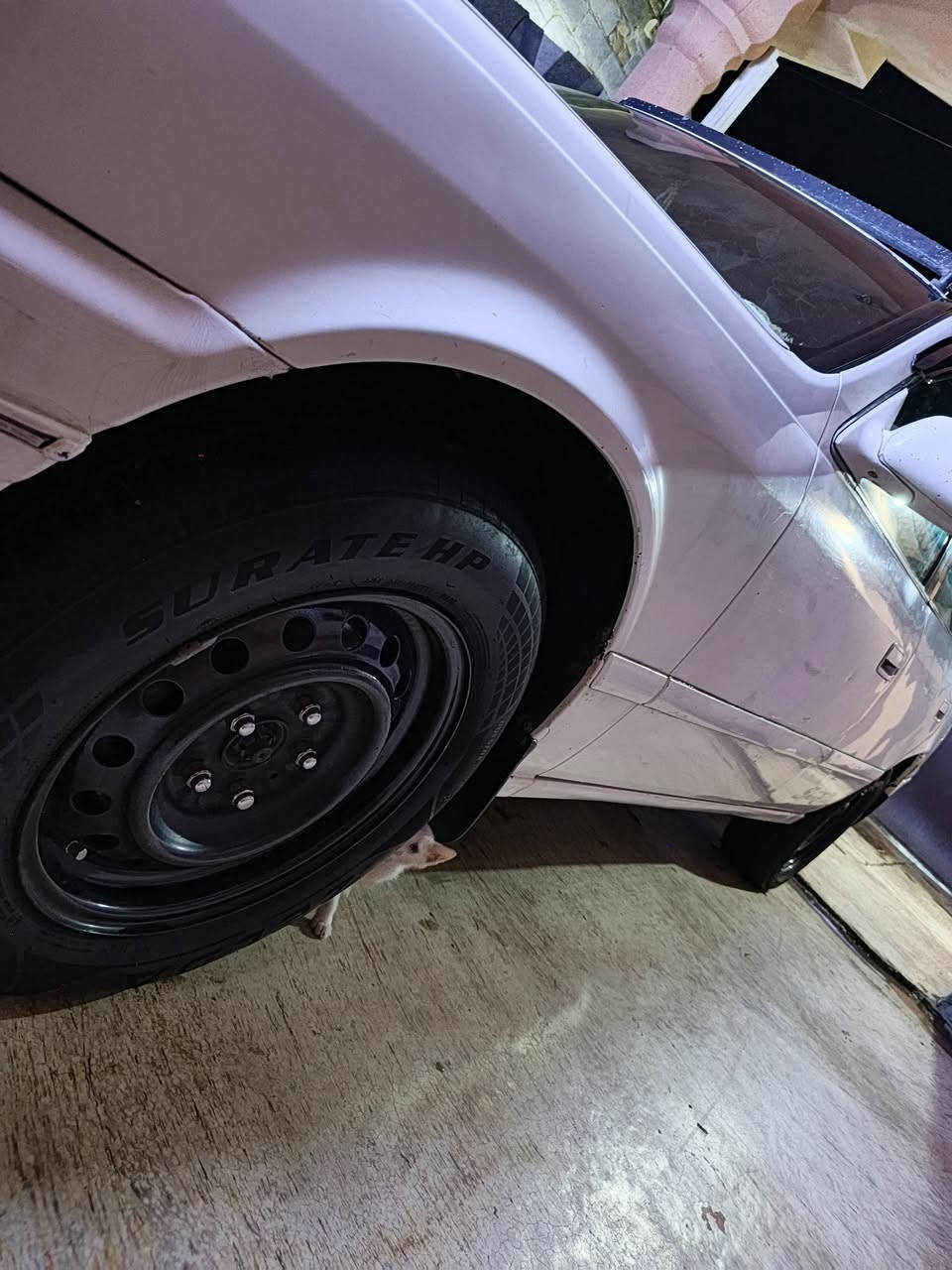 سلام عليكم سياره كامري موديل 2000 سياره جاهزه من كلشي تخم تاير تبريد ثلج كهربائية كله جاهزه مكينه وكير خير من الله سياره مصبوقه حزام سياره وارد أمريكي سياره جاهزه من كلشي رقم بغداد انكليزي السعر 75 وبيه مجال مكان الفلوجه رقم ***********
***********
