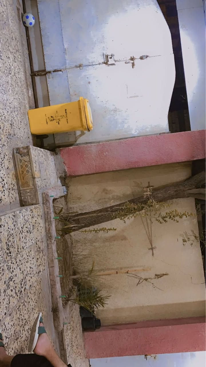 بيت بلديه بي معامله قرار ٢٠ وكامل اصولياته  المساحه٢٦٦ يحتوي ع ٤ غرف اثنين منهم حمام داخلي سويت ومطبخ وصاله معزوله+ موزع وحمام داخلي وخارجي مع ديوان خارجي العنوان القبله قرب شارع المدارس السعر١٥٠
للأستفسار التواصل ع الحساب او الاتصال ع الرقم ***********
