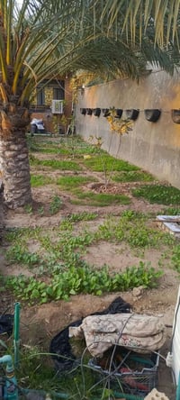 ربع دونم • دار 200م • الرشيدية كربلاء