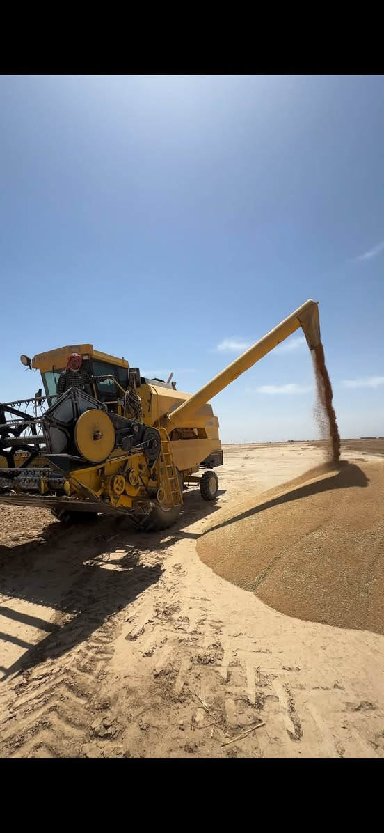 حاصوده للبيع موديل 2006 أربعه بلم قايش رقم سنويه تحويل التفاصيل مكان كركوك ***********  ***********
