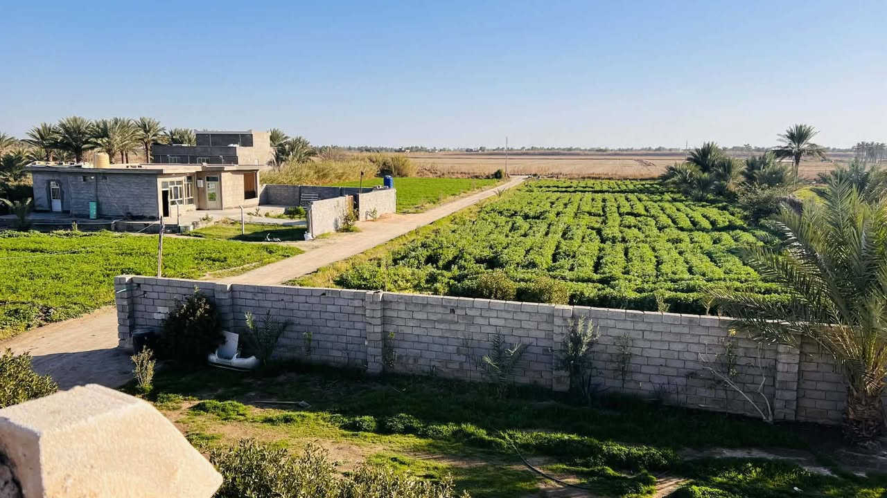 السلام عليكم
3دوانم  طابو زراعي للبيع  مع بيتين
الموقع الشاخه الاولى خلف حي العمال والبستنه.      متوفر  كهرباء ومياه سقي   +  ماء رساله صيف شتاء
 ومزروعه.  خط مولد من حي العمال   طريق جيد جداً
الاستفسار  الاتصال على الرقم ***********
غير متواجد على النت
