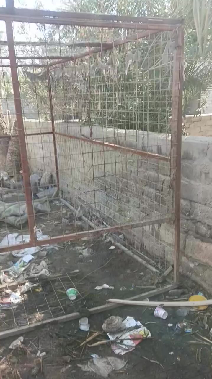 سلام عليكم قفص البيع الطول 3والعرض 2ونص والرتفاع 2ونص سعر 200وبيه مجال الشراي مكاني  سوق الشيوخ گرمة بني سعيد رقمي ***********
