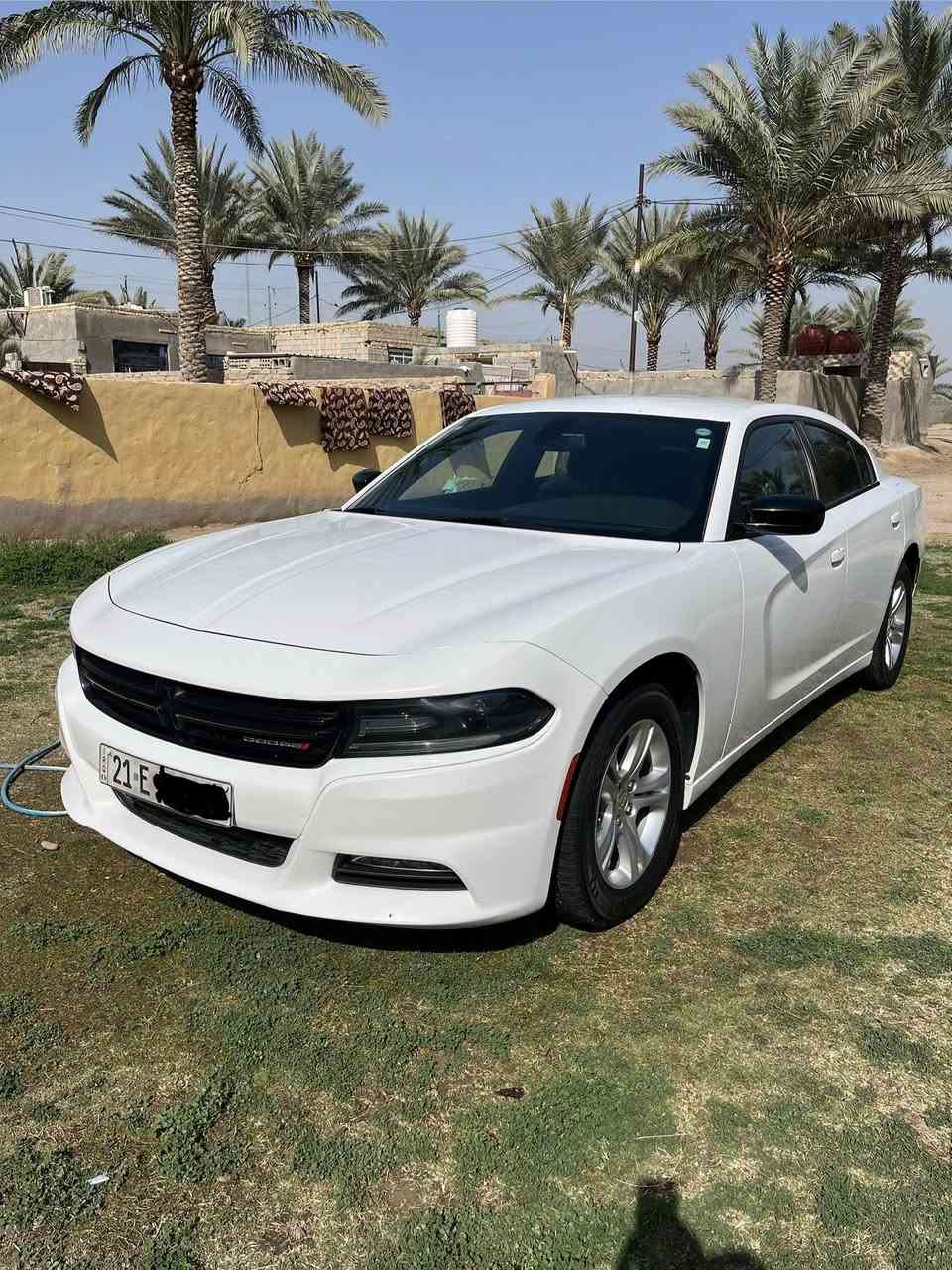 Charger Sxt2020
جارجر موديل 2020
رقم  سليمانية بسمي
جاهزه للخير 
بجم كبس
حادث نص باب عبري فقط
مكينه كير كفاله شرط ع وضع الشركه 
حداديه الشركه مفتوحه
تخم تاير صار اسبوع شاده

المسافة المقطوعة 50 
استخدااام شخصي

حجم المحرك 3600

مواصفات  
داخل اسود
كامره خلفيه
 مصابيح امامية زنون مع بلوجكتر LED .
ويل قياس 17
شاشه وسط مع نظام ملاحة نفكيشن GPS .
 مقاعد أمامية كهربائية
مقاعد أمامية  وتدفئة .
 تشغيل عن بعد . .
 محدد سرعة . .
 كاميرا خلفية دوارة.
حساس خلفي اصل 
السياره كارتون احلى واجدد من الصور 
كله ع البلاد 
 مرايا  ترحيب متحسسة للاضاءة
دخول ذكي
للاستفسار 
***********
مكان السيارة بابل
