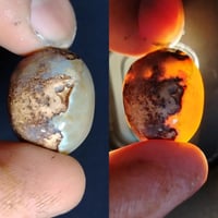 ممنوعات • صلاه ع النبي