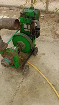 ماطور ٥حصان • خنزيرة ٤×٤ • أبكار