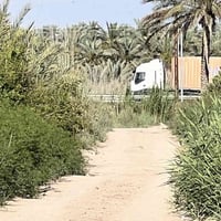 دونم • طابو باسمي • قرب جسر الصويره