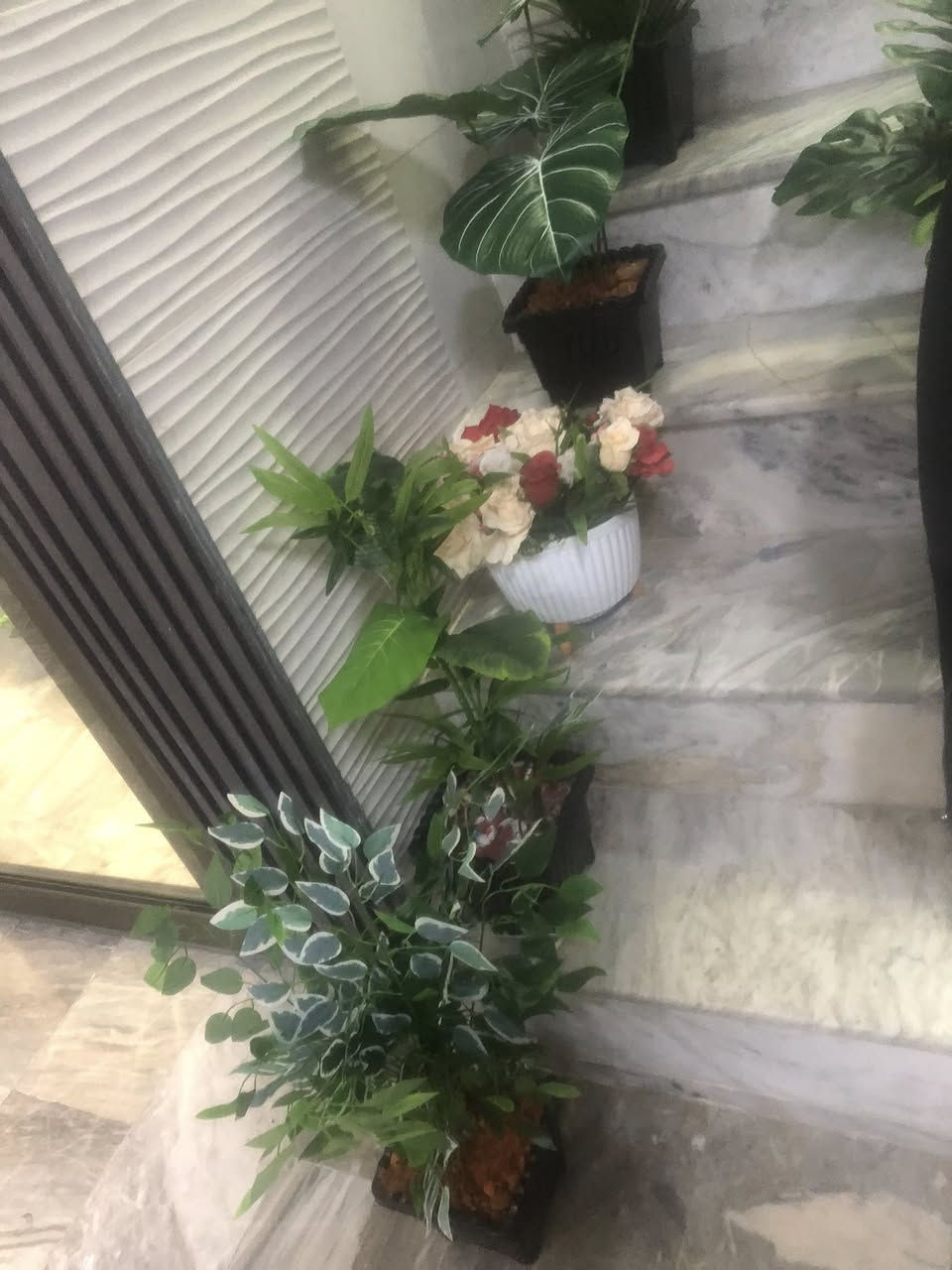 للبيع كل سبعه ب٥٠بغداد الشعب اترجاكم الشراي يجي خاص واني هنا اكتب الكم اجوبه اسألتكم الزرع صناعي وقفلهن سبعه ب٥٠المكان بشعب اكو كبار اكو صغار ثخينات جدا لان هواي يسالون وياخذون وقت وتالي ميشترون او يحجزون وميجون اعتذر منكم بس وقت ماعندي كل التفاصيل موجوده


**إذا كنت صاحب هذا الإعلان وتريد حذفه لأي سبب، رجاءا أرسل رسالة إلى الدعم الفني**