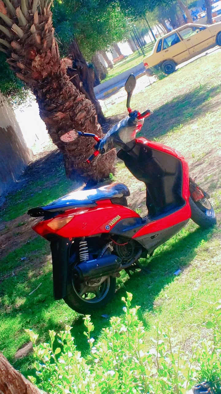 مستعجل علة البيعة سلام عليكم دراجة سكنس نثية 140 دراجة احلى من الصور كهربايات كملة شغالة دراجة شلعة ومعدل  سعره 550رقمي ***********   واتساب بكاني بغداد الكاظمية
