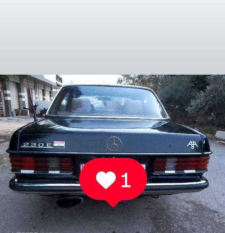 سلام عليكم
للبيع ( مارسدس ابو جحيل )
                             موديل 1982
نظيفه ونصبتها حلوة 
رقم مميز دولي
سنويه وهزه جديدة بأسمي نافذة لغاية 2028
محرك بلادي اربع سلندر قبغ اسود كابريتر لاتنقيص ولاتبخير
كير عادي  6 نمر طياره 
كير ومحرك شرط
صدر امامي وخلفي كله جديد 
بطاين بوب جدد
غرفة جديدة
   هورن جديد
تبريد بي ليك وتدفئه موجودة نار
  كهربائياتها كلها شغاله
جام كهرباء 
تايرات 90 ٪
باتري جديد 
كبات تخم 4
جك واسبير وويل اسبانه جدد
السعر / 50 وبيها مجال 
***********
