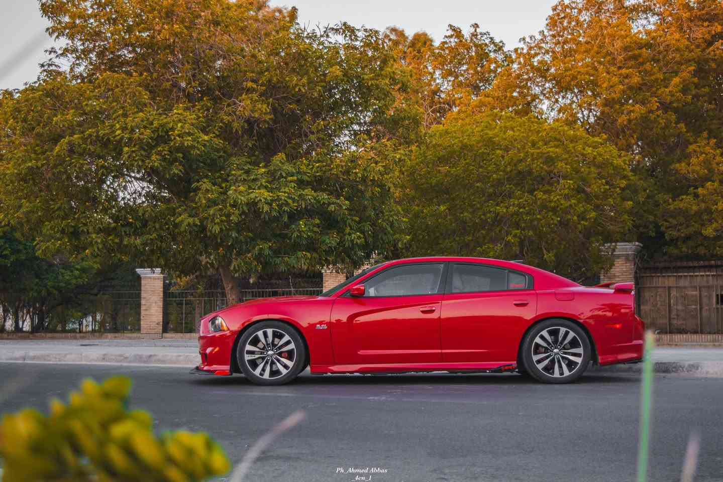 السلام عليكم 
جارجر srt 2013 بيع فقط بدون مراوس ؟بيع فقط
فول مواصفات للرادر بس الرادار مشيول 
بيهة طابوكة ارتي كورات وثلاجة وكام شفت اس ارتي 
فتحة 
نقطة عمياء 
سكليتر كهرباء 
كشنات خزن كشنات تدفئة تبريد 
كلاصات تدفئة تبريد
سقف روز رايز
كزوز بوابات ام ريموت 
داون بايب 
فيت بم ول برو
عليهة شوتة رياضية 
لايت اوركال متغير ومنضومة زنون اصلية 
برمجة مصطفى ايكل
حادث جاملغ وبنيد وشادهن اصليات وبيهة بارد قليل
للاستفسار واتساب ‭+964 771 718 9174‬
لسعر 145


**إذا كنت صاحب هذا الإعلان وتريد حذفه لأي سبب، رجاءا أرسل رسالة إلى الدعم الفني**