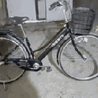 اليوم جبنالكم بايسكل حجم 27 مكفول كفاله خاص متواجد والسعر 80 وهذه الرق...