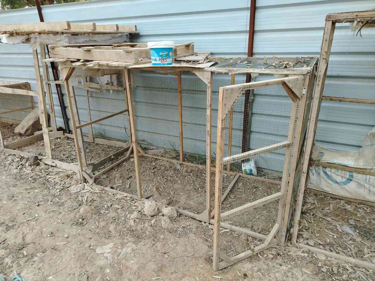 متوفر ٤ اقفاص هل كوم للدكلي شبيهن مابيهن خشب نضيف بس يحتاجلهن ترتيب ب٤٠
مكان طارميه
***********
