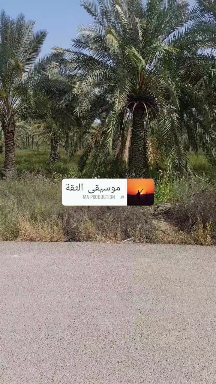 سلام عليكم تلاثه دوانم طابو ملك صرف واجه 45متر  عل شارع سيد علي وجه شارع سيد علي مباشر البيع حسب طلب متوفر جميع الخدمات الاستفسار ***********
