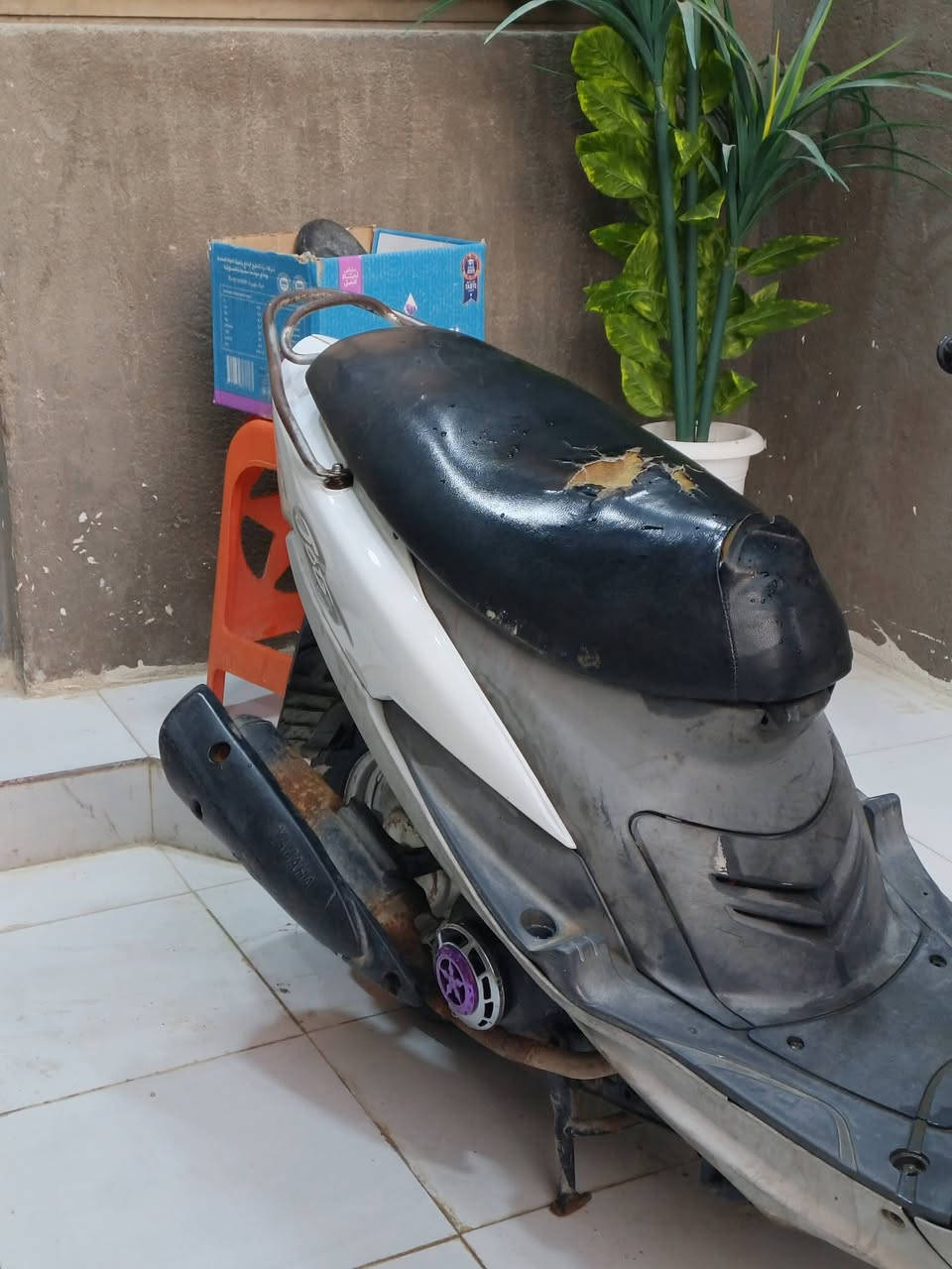 السلام عليكم ماكس منغولي للبيع او مراوس بعدله دراجه جاهزه بوشه 50 بلاد مكينه ناعمه  وشلعه ومعدل كهربائيات كله شغاله اي  نقص ماكو لايت بك لايت سكنات اشاير عداد بانزين دشبول قفل جنطه قفل ستيرن تايرات جديد دبلات جديد نقصها باتري فقط ضعيف باتريها سعر الدراجه 550 وبيها مجال قليل حك جيه مكانها ناصريه حي المنتزه ***********
