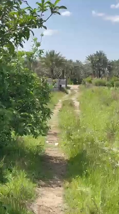 السلام عليكم
بستان سند ٢٥ تحويل مباشر من صاحبها
بغداد الراشديه ٢٨٠٠ متر  الواجهة ٤٣ متر ونزال ٦٦ متر
متوفر ماء وكهرباء وتبليط تصلح سكنيه ومزارع  ومجاورها مزرعتين حديثه البناء وسعرها مناسب لشراي
للتواصل ع ***********
