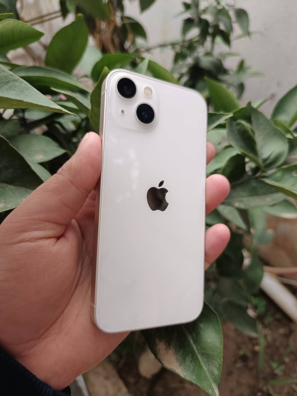 #سلام_عليكم جهاز ايفون 13 عادي جهاز نضيف حيل ومامفتوح ولامبدال بي اي شي جهاز شرط انطيك اوين مايعجبك ودي اوجيكو  بطاريه ابلادي 79 ومايصرف شحن حيل زين ذاكره 128 دبل سيمكرت نموذج M __السعر_450 _الخاص مغلق_الماشراي لايدوخني رجاء__***********8

(  بيع فقط )

#مكاني_الجانب_الايسر 

#السعر 450
