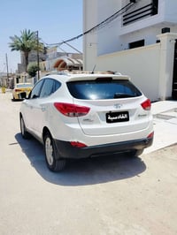 توسان • ٢٠١٠ • الديوانية