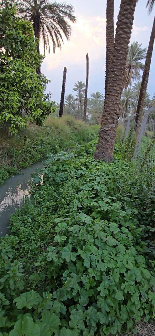 1485 متر متاح للبي.ع واجهة 27 نزال 57 متر ، سند 25 جسر ديالى الصمدية ، للإستفسار الإتصال على
الرقم  ***********  بالقرب من مدرسة الفراهيدي الابتدائية
1485 متر متاح للبي.ع واجهة 27 نزال 57 متر ، سند 25 جسر ديالى الصمدية ، للإستفسار الإتصال على
