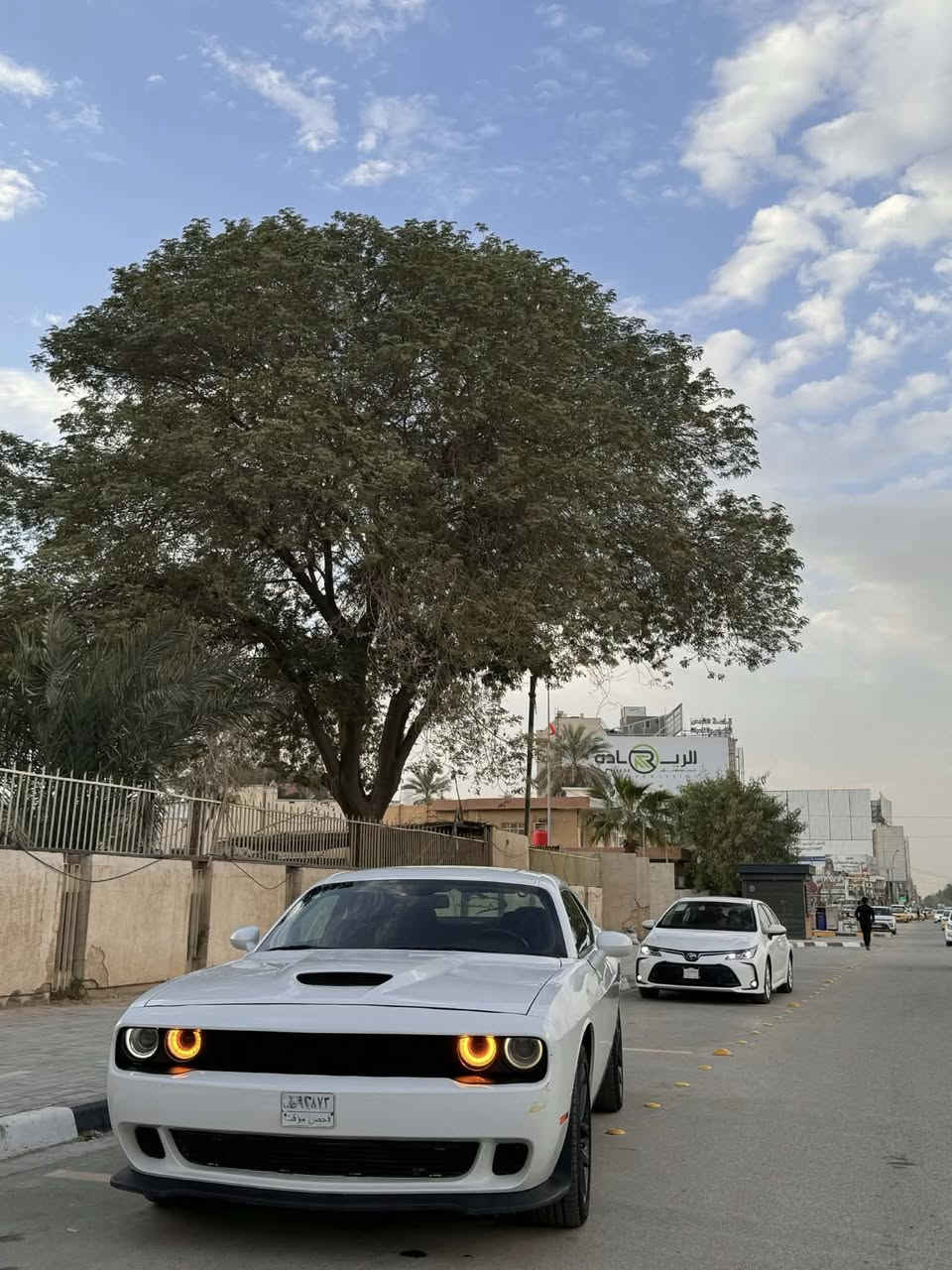 2023 جالنجر
Sxt
حادث بنيد ومحدث gt
بيها بارد بسيط بالجاملغ صفحه الصدر وما مبين
مكفوله من الدواخل جديدة كلش
ماشية ٢٣
للبيع او المراوس بكوري
٢١٠ وبيها مجال 

0780 605 4949
