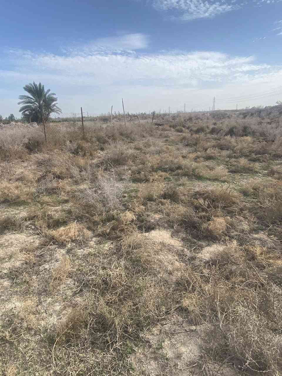 سلام عليكم كاع البيع ١٥ دونم عله ابو مهيفه مقابيل ملعب شيخ طارق مناع متوفر كافت الخدمات كهرباء مكلف بل نشر سعر دونم ٥وبيه مجال ***********
