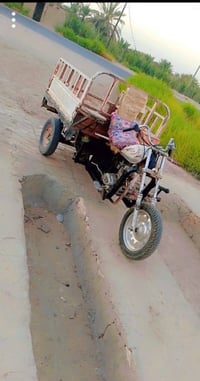 ستوتة • سماوة • واتساب