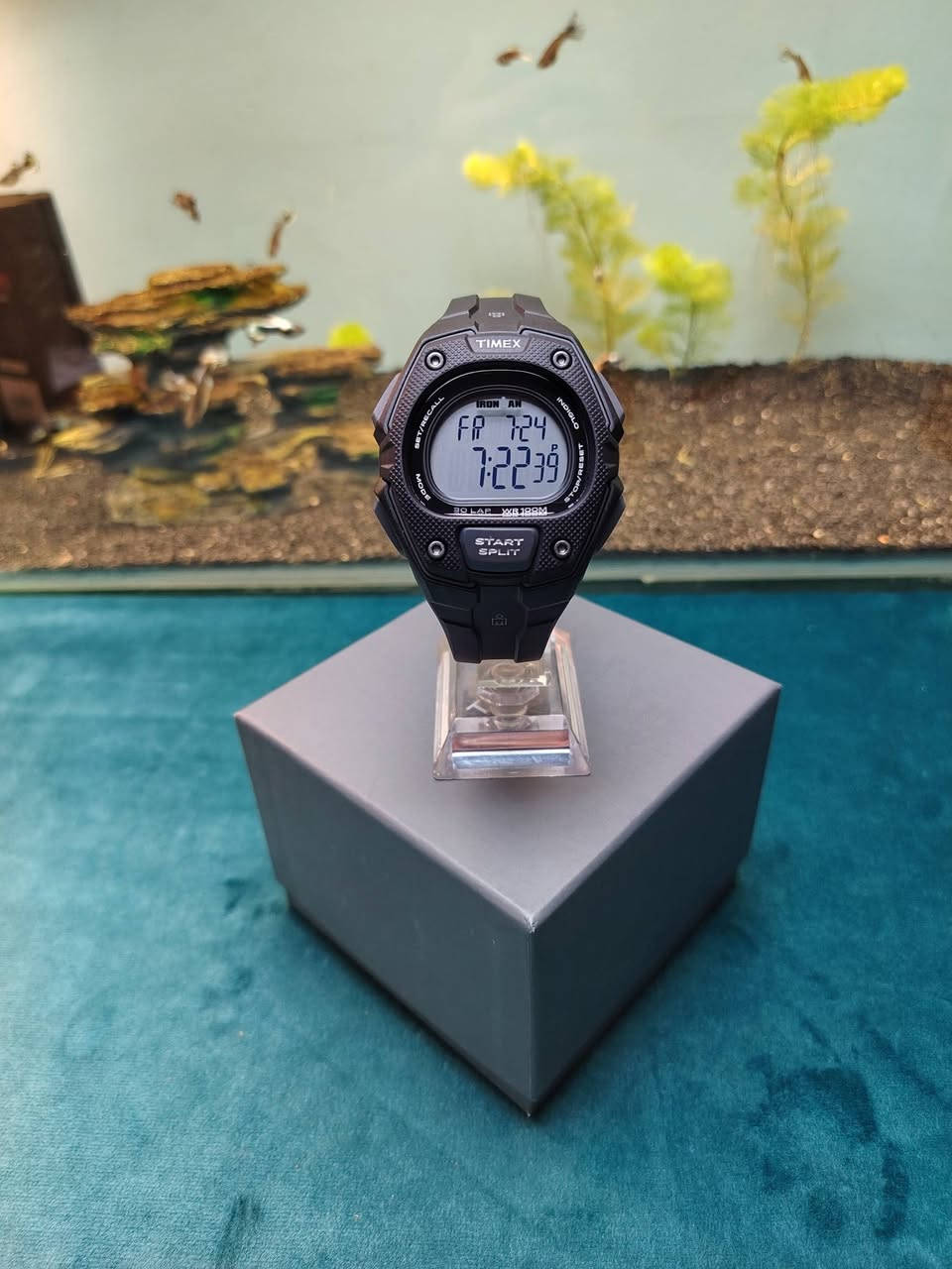 السلام عليكم

تایمکس ایرون مان رجالي جديد

° الوصف
• نقدم لكم تجسيدا للأناقة الرياضية تم تصميمها لتكون خفيفة الوزن ومغلقة لمقاومة الماء، حيث يوفر تصميمها المميز المكون من خمسة أزرار سهولة الوصول إلى الميزات الأساسية على شاشة كبيرة وسهلة التصفح.

° المعلومات الأساسية
• القطر 45 ملم و السمك 13ملم
• تقويم اليوم و التاريخ و الشهر
•  ثلاث منبهات يومية 
• مؤقت عد تنازلي
• منطقتين زمنيتين
• كرونوغراف
• مقاومة للماء 100 متر
• ساعة توقيت رياضية بذاكرة 30 لفة
• إضاءة داخلية INDIGLO Light Up

جميع الساعات اصلية معا ضمان🤍.

العنوان: - بغداد - مدينة الصدر ـ الأورفلي 
توصيل لجميع المحافظات 
التواصل واتساب *********** 🤍.
