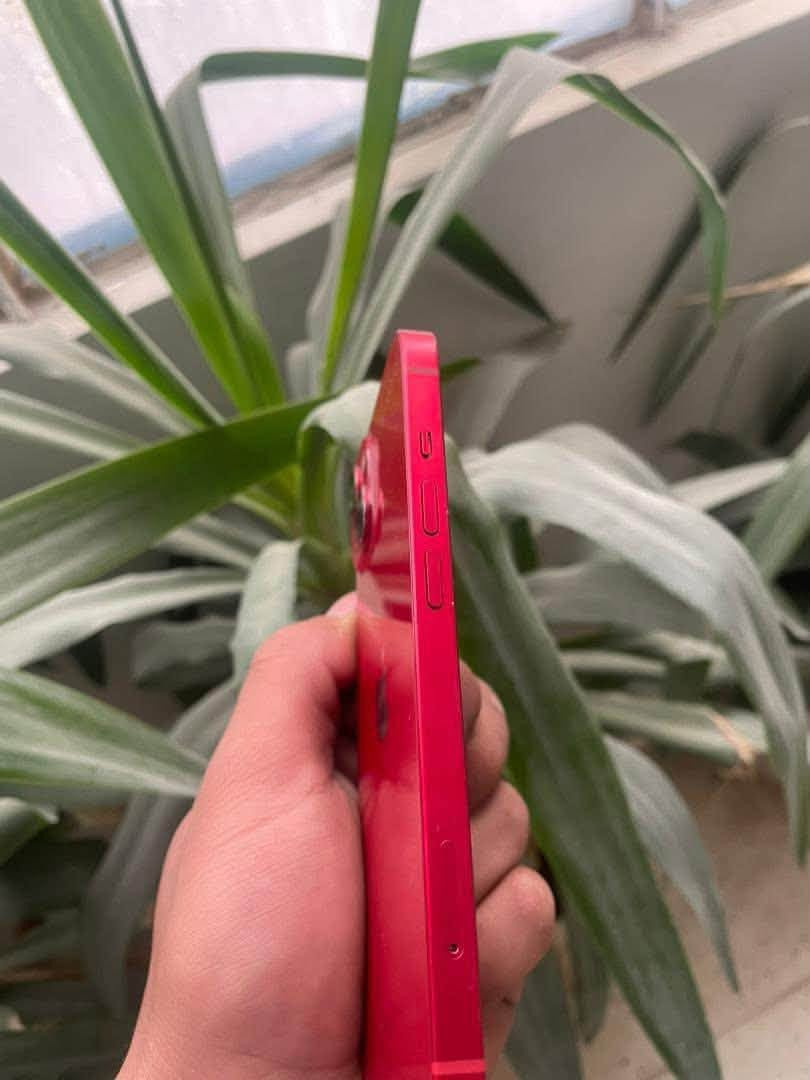 ♂️IPhone 13
ذاكره 128

بطاريه 88 وكاله✅

فقط مستبدل شاشه نوعيه كلش حلوه✅

ببجي 60 فريم ثابت✅

كامرات فول✅

للمراوس ب 12 برو او برو ماكس⁉️


**إذا كنت صاحب هذا الإعلان وتريد حذفه لأي سبب، رجاءا أرسل رسالة إلى الدعم الفني**