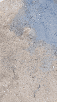 الاتصال ***********
