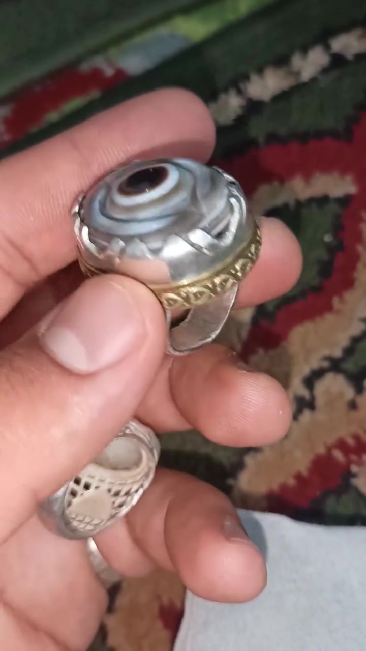 كلمن وسعره توصيل كافه محافظات


**إذا كنت صاحب هذا الإعلان وتريد حذفه لأي سبب، رجاءا أرسل رسالة إلى الدعم الفني**
