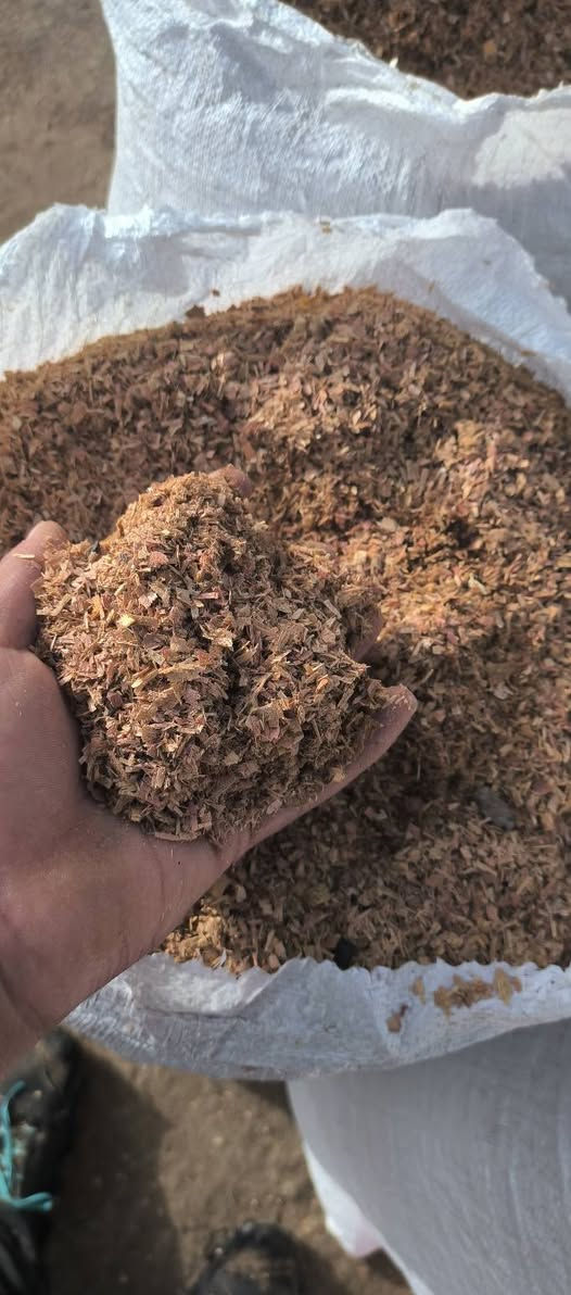 نشاره للبيع الكواني مالت طحين متروسه ومضغوطه ضغط الكونيه نضيفه 100/100  سعر الكونيه 5 آلاف تفيد محلات الدجاج


**إذا كنت صاحب هذا الإعلان وتريد حذفه لأي سبب، رجاءا أرسل رسالة إلى الدعم الفني**