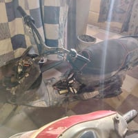 ماكس عدلة • بوشه ٥٥