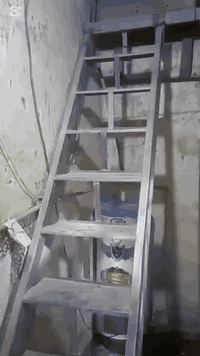 بيت للايجار • قطاع صفر • شارع نور الحلاق