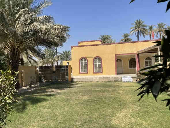 السلام عليكم 

دار للبيع المساحه ٨٠٠ متر طابو زراعي سند ٢٥ 

يتكون من غرفتين وهول ومطبخ وصاله مجمع صحيات 

البيت جاهز من كلشي ماء وكهرباء وتبليط للباب 

العنوان بابل الورديه مجاور الامام سيد موسى 

رقم صاحب الدار ***********
