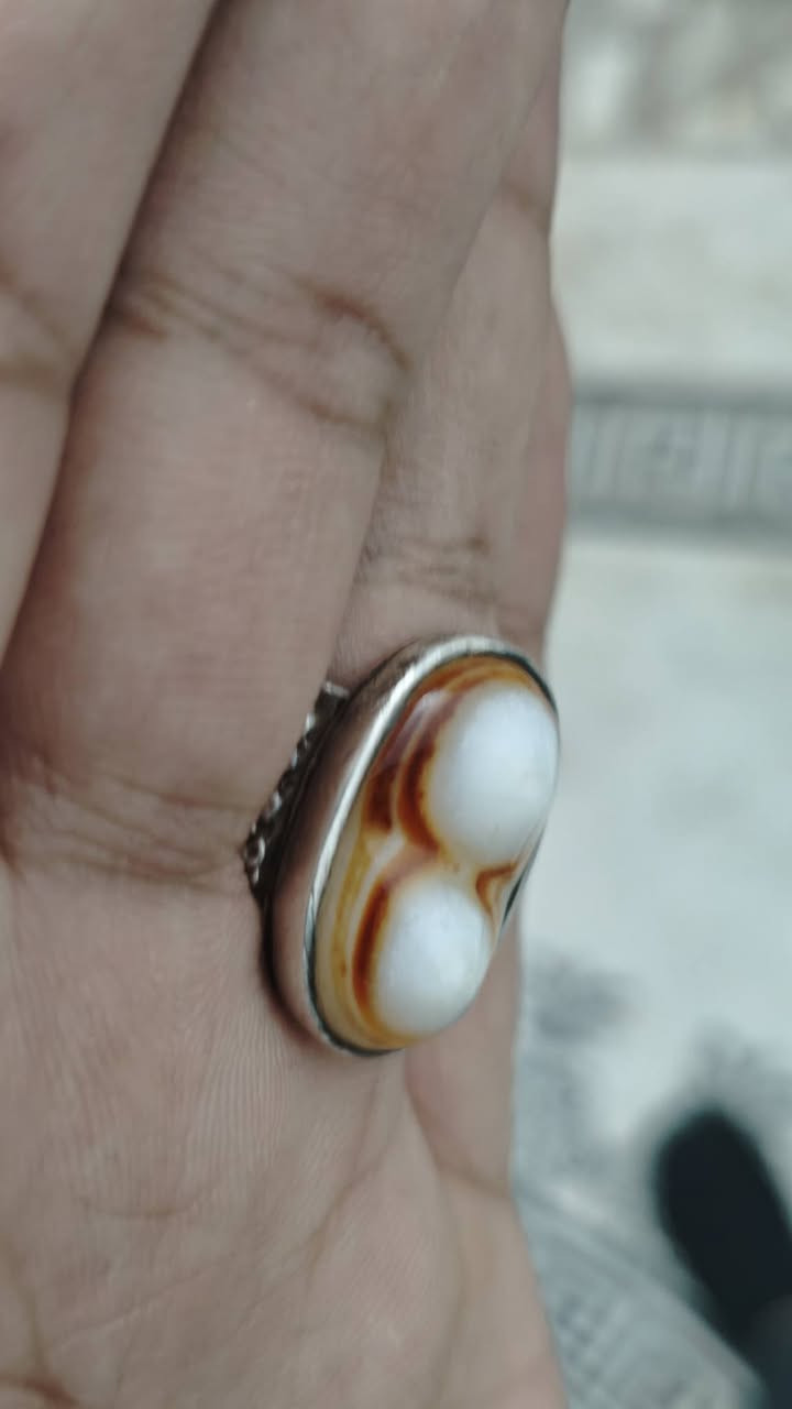 سليماني للبيع 
حط سعرك وبالعافية


**إذا كنت صاحب هذا الإعلان وتريد حذفه لأي سبب، رجاءا أرسل رسالة إلى الدعم الفني**