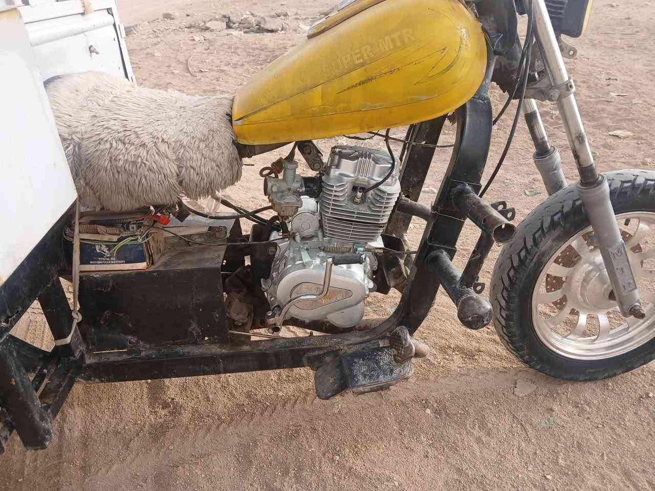 سلام عليكم ستوته لبيع ادوات ادوات مكفوله من سرقه ستوته مكينه جديده وتيرات جدد كهربيات سلف دبلات كله جديد ستوته جاهزه المكان الزبير سوق سوادي ***********.
