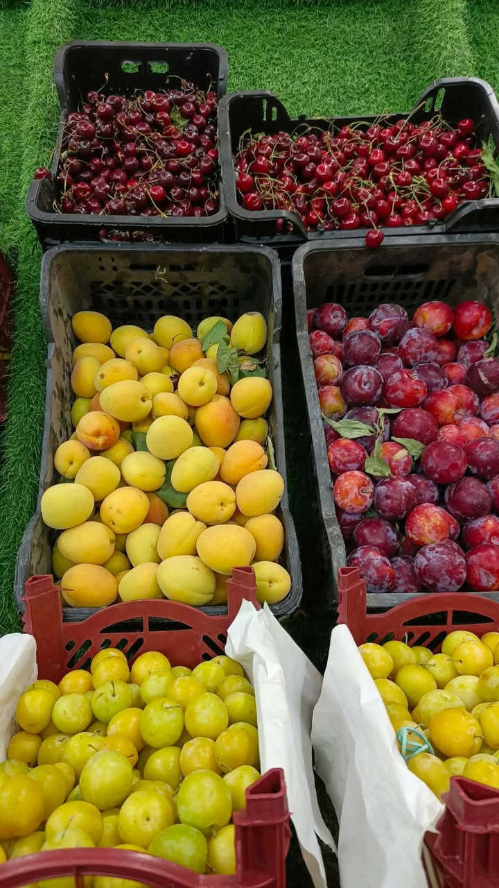 اسعار  اليوم 🔥🔥
ومسواك تازة ويوصلكم 
🟢 عرض الخضار والفواكه والدجاج والسمك 🟢
🥬 الخضار: 🍅 طماطة — 3/2000 د.ع
🥔 بطاطة — 1000 د.ع
🥒 خيار — 1000 د.ع
🧅 بصل — 1000 د.ع
🍆 باذنجان — 750 و 3 ب 2000 د.ع
🌶️ فلفل —1500 د.ع
🍋 ليمون — 3000 د.ع
🫛 بامية — 2500 د.ع
🍎 الفواكه: 🍑 خوخ كعكي — 2000 د.ع
🍑 خوخ مسكي — 2000 د.ع
🍑 مشمش — 2500 د.ع
🍇 عنب — 1500 د.ع
🍏 تفاح أصفر — 1250 د.ع
🍎 تفاح أحمر — 1500 د.ع
🍐 عرموط — 1500 د.ع
🍌 موز — 1500 د.ع
🥭 آلو أصفر — 2000 د.ع
🥭 گوجه عراقيه — 2000 د.ع
🍊 برتقال مصري — 1500 د.ع
🍏 تفاح سكر — 2000 د.ع
🍗 الدجاج: 🐔 دجاج ذبح وزن كيلو ونص — 6500 د.ع
🍗 أفخاذ دجاج (الكيلو) — 6000 د.ع
🍖 صدر دجاج (الكيلو) — 6000 د.ع
🥣 كبد دجاج (الماعون) — 2000 د.ع
🐟 السمك: 🐟 سمك عدل (الكيلو) — 5500 د.ع
🐟 سمك مقطع (الكيلو) — 5500 د.ع
🐟 سمك زبيدي — 3000 د.ع
🔥 سمك شوي مع مقبلات — 8000 د.ع
🔥 سمك شوي ناشف — 7000 د.ع
🍚 سمك شوي مع مقبلات وتمن أحمر — 10000 د.ع
🥒 مواد أخرى: 🫙 طرشي — 1000 د.ع
🥛 روبة عرب — 1000 د.ع
🥩 لحم شرح متوفر
✨ أسعار مناسبة وجودة طيبة يومياً ✨


**إذا كنت صاحب هذا الإعلان وتريد حذفه لأي سبب، رجاءا أرسل رسالة إلى الدعم الفني**
