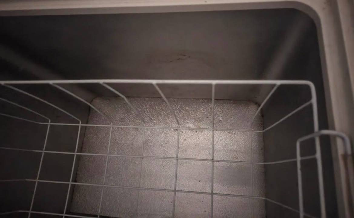 مجمده عاطله  للبيع منعرف شنو عطله بس الماطور يشتغل


**إذا كنت صاحب هذا الإعلان وتريد حذفه لأي سبب، رجاءا أرسل رسالة إلى الدعم الفني**