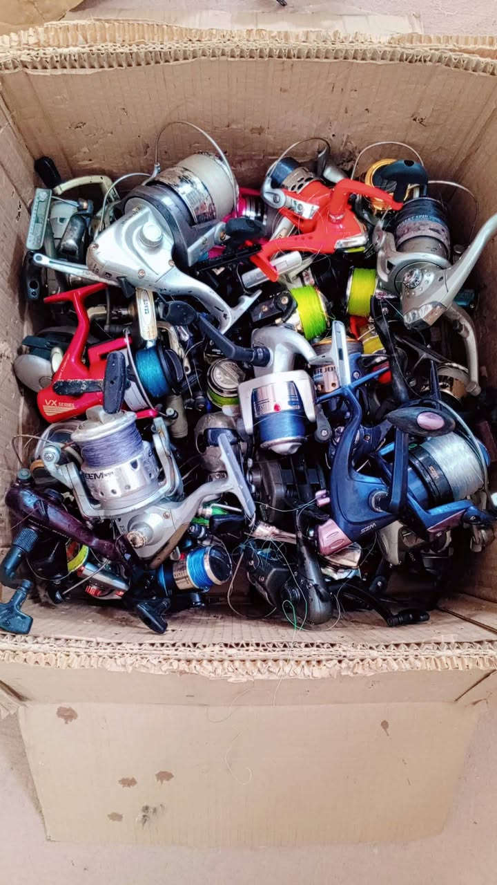 سلام عليكم أخواان __ دخلت بضاعه جديده مكاين ☠️
هذا كارتون باله حجام مختلفه خااالي من العطل ول كسررر 
العدد 50 قطعه كله شغاله🔥 للي ع بااب لله 
البيع جمله شلع الكارتون كله ♡♡ للي مهتم يتفضل خاص ويدلل


**إذا كنت صاحب هذا الإعلان وتريد حذفه لأي سبب، رجاءا أرسل رسالة إلى الدعم الفني**