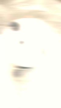 قواعد فيت بم • سنتافي • سورنتو