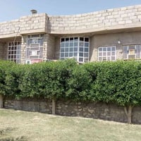 الرمادي جزيرة البوذياب • ١٢٠٠م • سند ٢٥ فسفوره