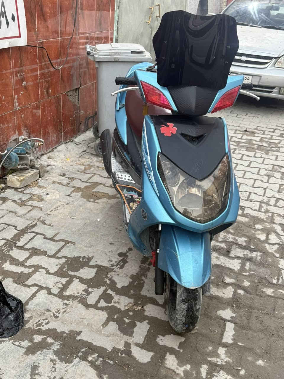 سلام عليكم سكنز فحل كابريتر البيع او مراوس مكاني بغداد الحريه  ***********
