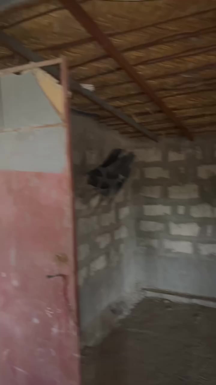 حقل البيع طول ٣٥ متر حقل كامل غراض كامله البيع شلع مكاني تاجي سبع البور سعر5بي مجال ‭٠٧٨٩ ٢٤٢ ١٨٩١‬تصل
