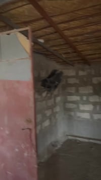 تاجي سبع البور • ٣٥م • حقل للبيع