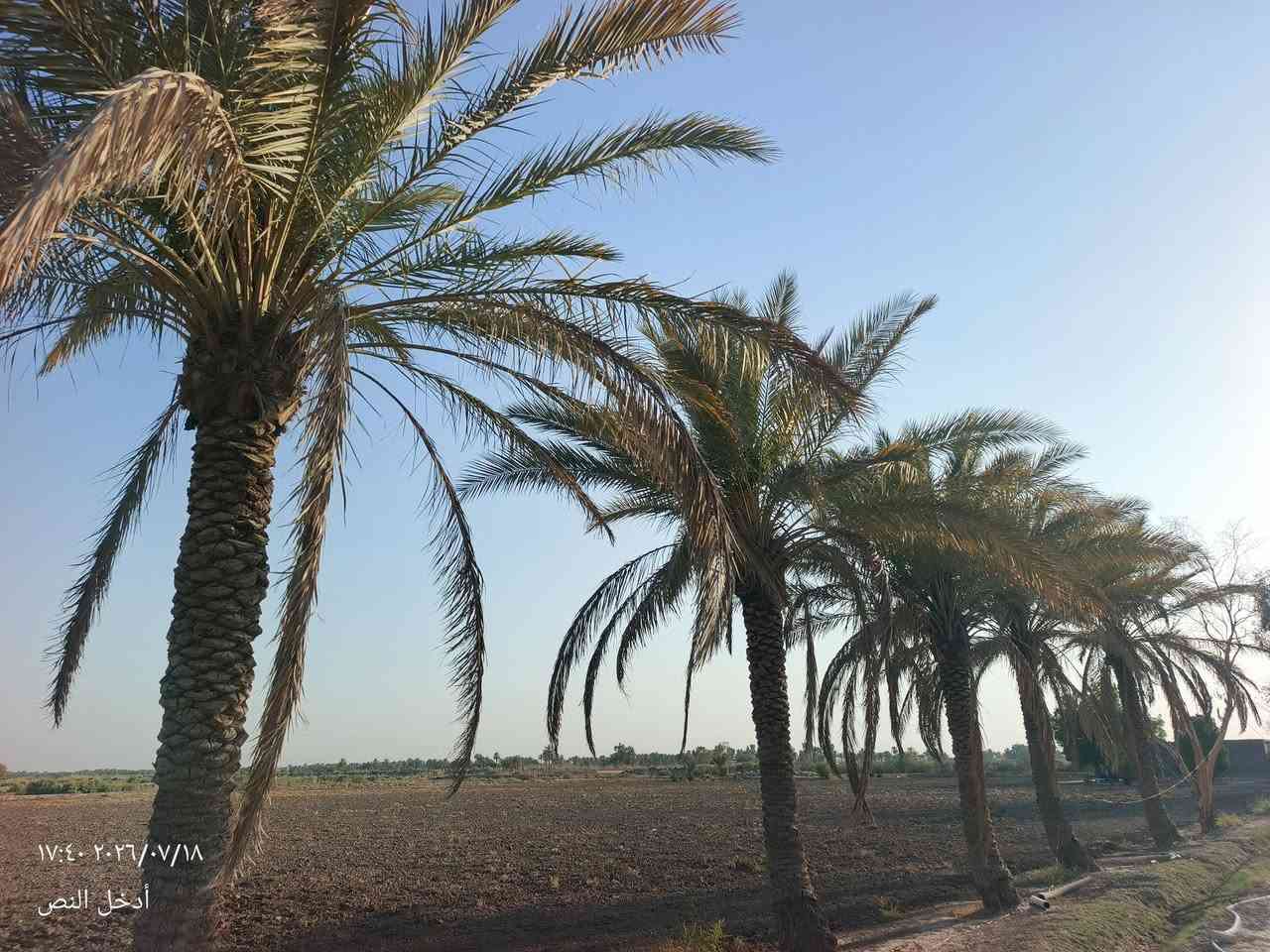 السلام عليكم .
ارض زراعيه للبيع 

8 وربع دونم

مع بيت مكون من غرفتين وهول ومطبخ وحمام 

 متوفر فيها ماء وكهرباء 

عقد 117

تبعد عن شارع صويره جبله 1كم

السعر وباقي التفاصيل انتصل وتدلل .

   

                         ***********👉 وبي واتساب
