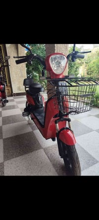 دراجة شحن • ٤ بطاريات • مكسور خلفي