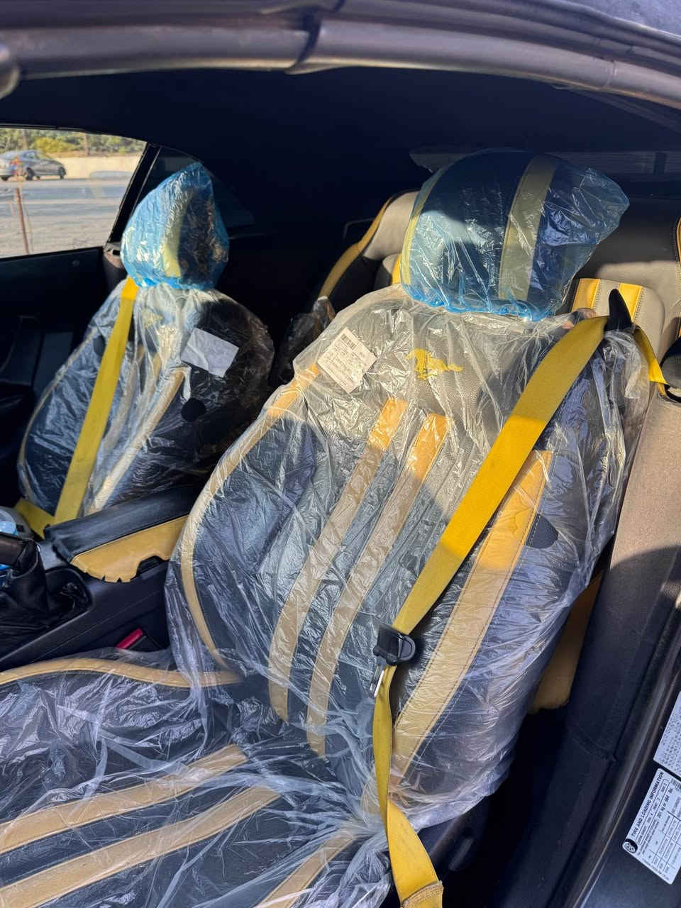 musting 2017 V6
موستانك ٢٠١٧ 
بيع او مراوس بسيارة عالية وحديثة 
كير محرك اكسل شرط
موصفات كامل بريميوم
سبغ جمالغ امامي+باب سايق تبديل +جمالغ خلفي صبغ 
بدون دواخل فقط بدنة 
بدون ايرباك سياره
ماشيه 80ميل
صدر امامي خلفي جديد

الإضافات داخلية :-
تغليف أبواب والداخلية شاموا بالكامل 

تغليف كشنات وستيرن كلها جلد اصلي تركي درجة 1 اصفر واسودّ تطريز اصل 
دشبول وجميع ملحقات تغليف كاربون جيلاتين اصل 
اضواء led ترحيب ودشبول وكاعيات متغير 

الإضافات خارجية  :-
كيت كاملGT500
بونيد GT500 شيلبي
دعاميه امامي GT500
سبويلار جيتي GT500
‏K&N شوته
ويل كاج كان
bbkكزوز
كيج بريميوم 
سكوت ستيرن شفتات 
شاشه  كاربلي
دفيوزر
حلوك صالنصه 4
ويل 18 تو سايز

سقف جديد مال كص يعني ماكو نقطة خلل ولا تسريب نهائيا 

لايتات عدسه و متغير على بلوتوث حسب كوشن سايق  كهربئاي
كزوز رياضي فصله وطلاقات *

سياره شرط مابيها مصرف نهائيه

مكان السيارة اربيل جاهز للتحويل 
رقم سنويه هزه فحص جدد كلها هل سبوع صار 
رقم تلفون ***********واتساب 
*********** أربيل, العراق
